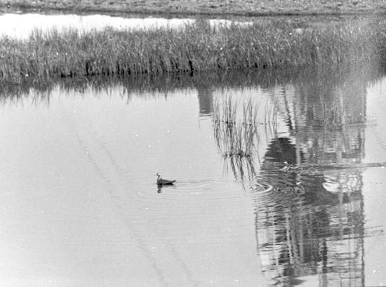 SAM-1-47