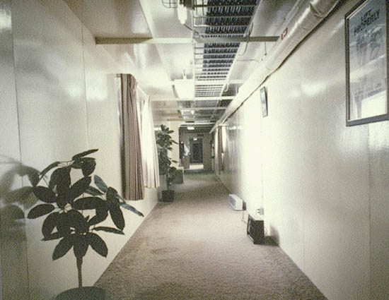 JJN-10-1